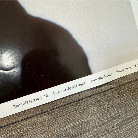 Vintage Natalie Merchant 10,000 Maniacs Poster 33x23" UK Import Ophelia Rare - Picture 4 of 6